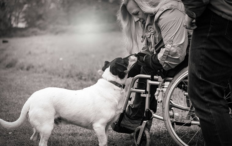 Frau in Rollstuhl mit weißschwarzem Hund