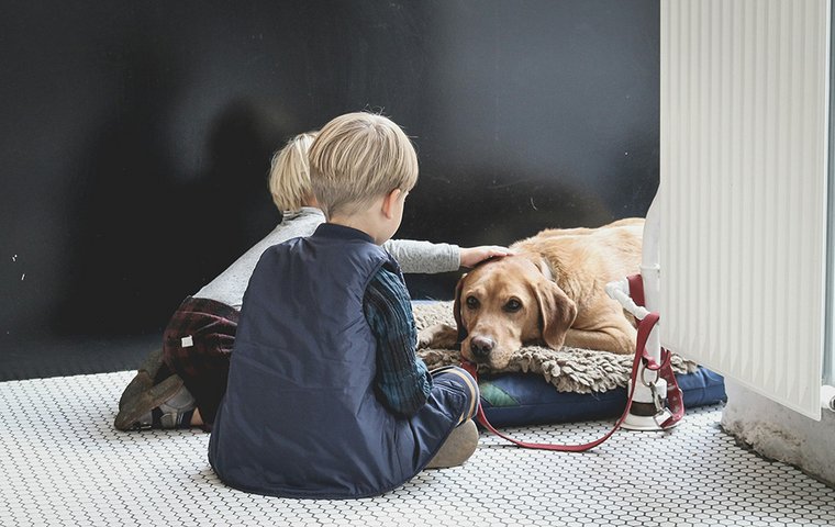 Zwei Kinder mit liegendem Hund